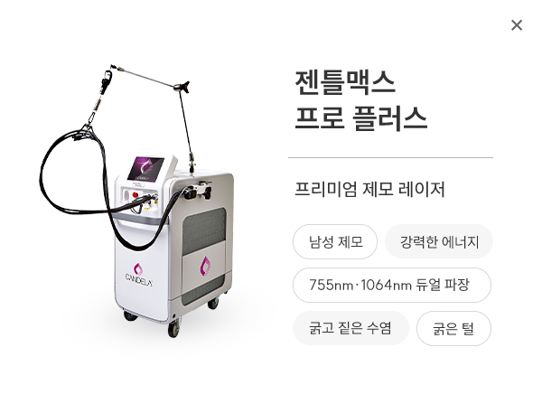 젠틀맥스 프로 플러스