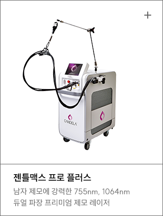 젠틀맥스 프로 플러스