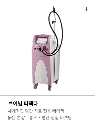 브이빔 퍼펙타