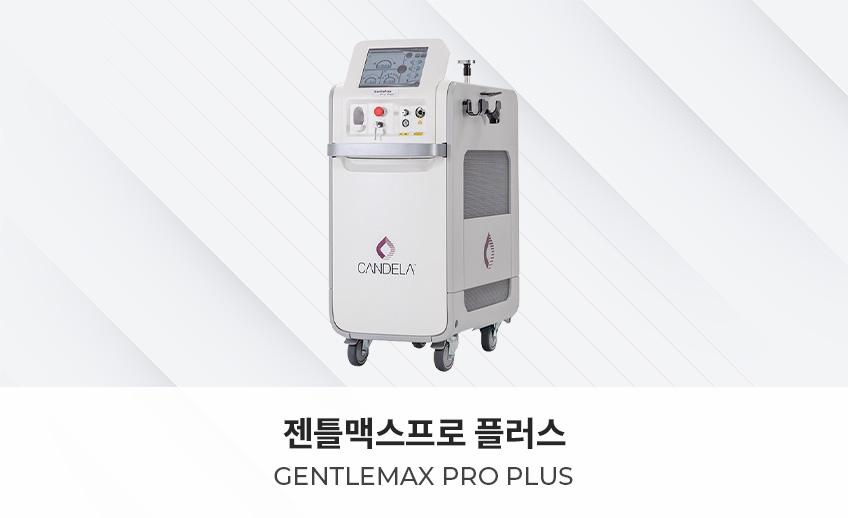 젠틀맥스프로플러스