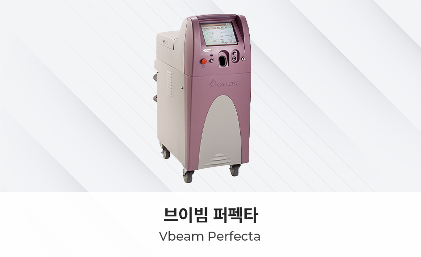 브이빔 퍼펙타