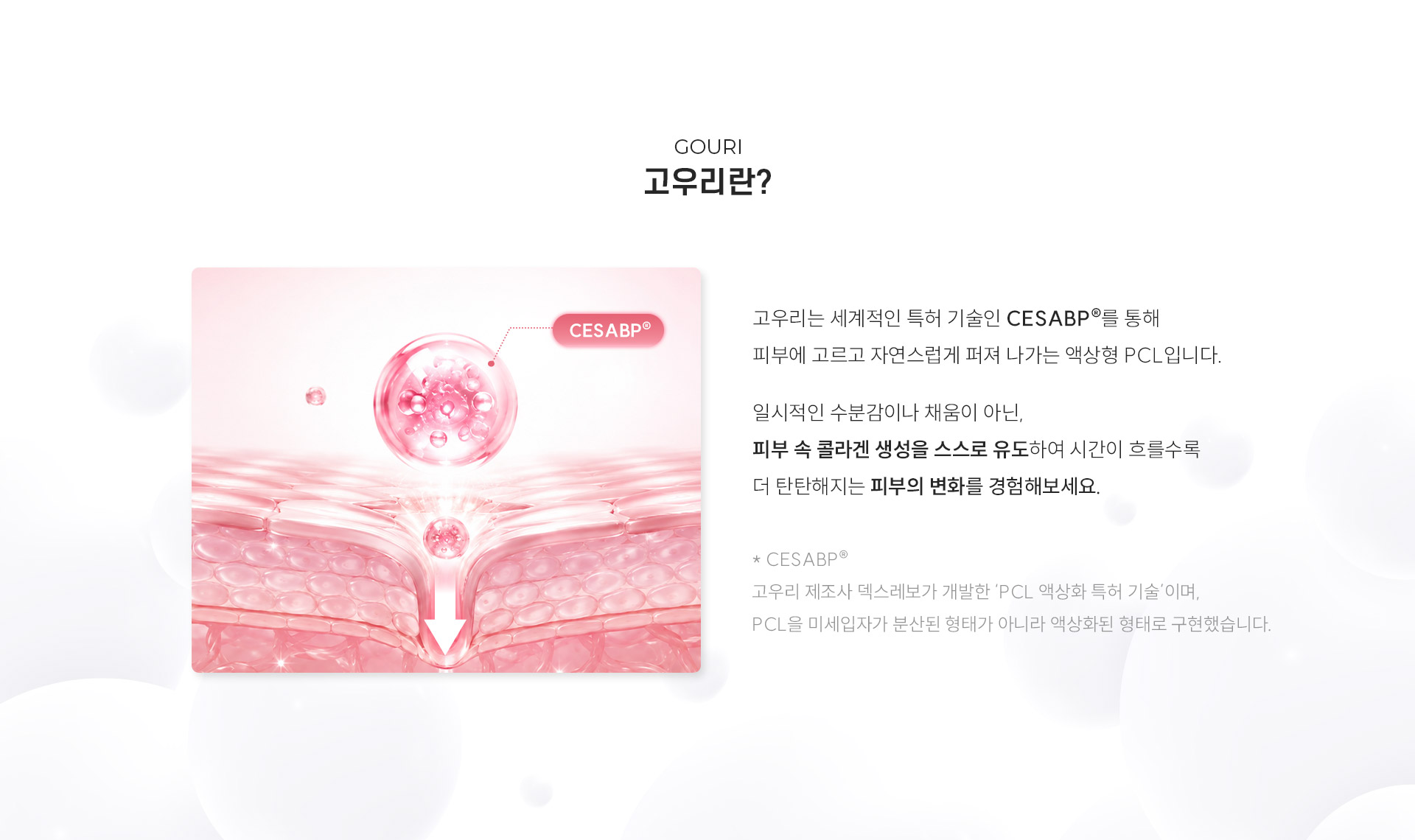 
	3.	고우리란?
	고우리는 세계적인 특허 기술인 CESABP®를 통해 피부에 고르고 자연스럽게 퍼져 나가는 액상형 PCL입니다.
	일시적인 수분감이나 채움이 아닌, 피부 속 콜라겐 생성을 스스로 유도하여 시간이 흐를수록 더 탄탄해지는 피부의 변화를 경험해보세요.
	* CESABP® 고우리 제조사 덱스레보가 개발한 ‘PCL 액상화 특허 기술’이며, PCL을 미세입자가 분산된 형태가 아니라 액상화된 형태로 구현했습니다. 
	