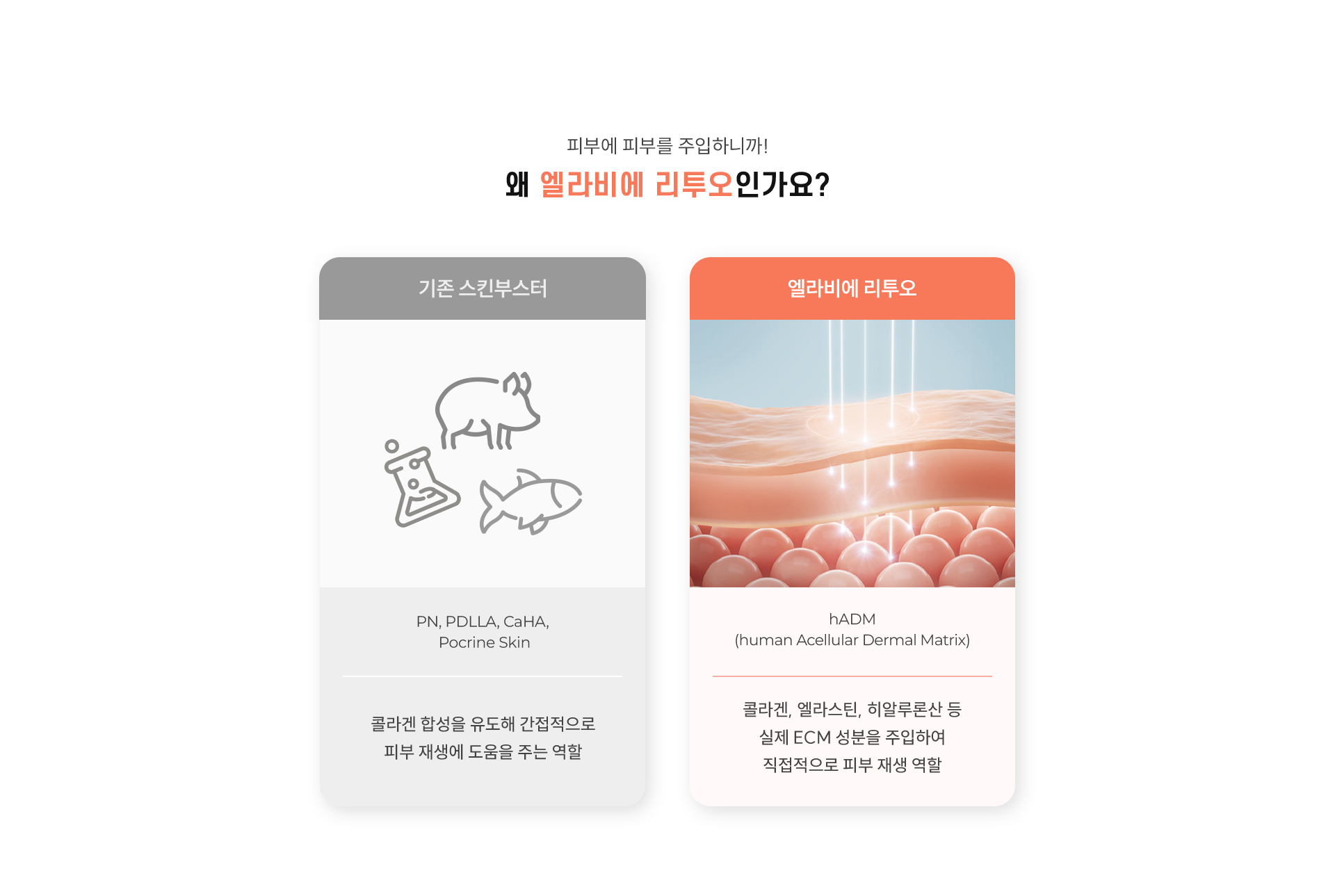 5.	피부에 피부를 주입하니까! 왜 엘라비에 리투오인가요? -	기존 스킨부스터 : PN, PDLLA, CaHA, Pocrine Skin / 콜라겐 합성을 유도해 간접적으로 피부 재생에 도움을 주는 역할 -	엘라비에 리투오 : hADM (human Acellular Dermal Matrix) / 콜라겐, 엘라스틴, 히알루론산 등 실제 ECM 성분을 주입하여 직접적으로 피부 재생 역할